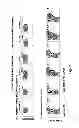 Fig. 02 - Isolated B7-H4 specific compositions and methods of use thereof
