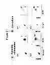Fig. 04 - Isolated B7-H4 specific compositions and methods of use thereof