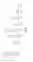 Fig. 07 - HLA-DR7 HY epitope and method for treating leukaemia