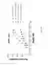 Fig. 76 - Sur-binding proteins against ERBB3
