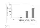 Fig. 08 - Stabilized immune modulatory RNA (SIMRA) compounds for TLR7 and TLR8