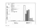 Fig. 10 - Stabilized immune modulatory RNA (SIMRA) compounds for TLR7 and TLR8