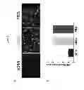 Fig. 04 - Methods for treating kidney disease with fragments of ApoB-100
