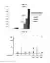 Fig. 09 - COMPOSITIONS AND METHODS FOR IMMUNISATION USING CD1D LIGANDS