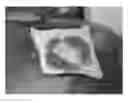 Fig. 01 - Hemostatic sponge