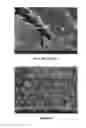 Fig. 06 - Method for modifying surfaces for better osseointegration