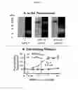 Fig. 04 - REPROGRAMMING UROKINASE INTO AN ANTIBODY-RECRUITING ANTICANCER AGENT