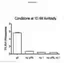 Fig. 14 - REPROGRAMMING UROKINASE INTO AN ANTIBODY-RECRUITING ANTICANCER AGENT