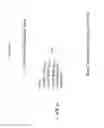 Fig. 16 - REPROGRAMMING UROKINASE INTO AN ANTIBODY-RECRUITING ANTICANCER AGENT
