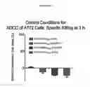 Fig. 25 - REPROGRAMMING UROKINASE INTO AN ANTIBODY-RECRUITING ANTICANCER AGENT
