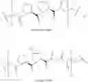 Fig. 58 - REPROGRAMMING UROKINASE INTO AN ANTIBODY-RECRUITING ANTICANCER AGENT