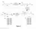 Fig. 03 - Cationic antibacterial composition