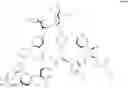 Fig. 26 - Cationic antibacterial composition