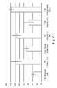 Fig. 03 - Oral compositions containing polyorganosilsesquioxane particles
