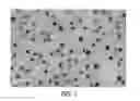 Fig. 08 - Nanoparticles and nanoparticle compositions