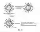 Fig. 16 - Nanoparticles and nanoparticle compositions
