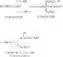 Fig. 23 - Sulfoperoxycarboxylic acids, their preparation and methods of use as bleaching and antimicrobial agents