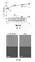 Fig. 02 - Methods of treating gram-negative microbial infections