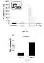 Fig. 12 - Methods of treating gram-negative microbial infections