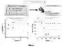 Fig. 21 - Methods of treating gram-negative microbial infections