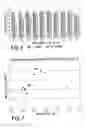 Fig. 02 - Feed additive composition for ruminants and method of producing the same