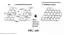 Fig. 08 - Process for producing continuous graphitic fibers from living graphene molecules