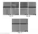 Fig. 02 - Methods for the Bio-programmable Crystallization of Multi-component Functional Nanoparticle Systems
