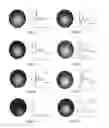 Fig. 07 - Methods for the Bio-programmable Crystallization of Multi-component Functional Nanoparticle Systems