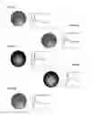 Fig. 12 - Methods for the Bio-programmable Crystallization of Multi-component Functional Nanoparticle Systems