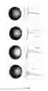 Fig. 22 - Methods for the Bio-programmable Crystallization of Multi-component Functional Nanoparticle Systems