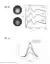 Fig. 29 - Methods for the Bio-programmable Crystallization of Multi-component Functional Nanoparticle Systems
