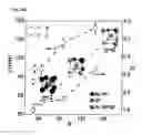 Fig. 40 - Methods for the Bio-programmable Crystallization of Multi-component Functional Nanoparticle Systems