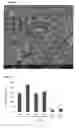Fig. 03 - Coating Composition And Antireflective Coating Prepared Therefrom