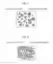 Fig. 02 - Toner