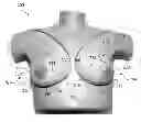 Fig. 01 - Ultrasound phantom models, materials, and methods