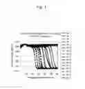 Fig. 02 - METHOD OF NUCLEIC ACID AMPLIFICATION AND MEASURING REAGENT AND REAGENT KIT THEREFOR