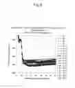 Fig. 07 - METHOD OF NUCLEIC ACID AMPLIFICATION AND MEASURING REAGENT AND REAGENT KIT THEREFOR