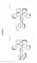 Fig. 02 - Compounds and methods for the enrichment of mutated nucleic acid from a mixture
