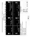 Fig. 07 - Development of novel detergents for use in PCR systems
