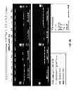 Fig. 08 - Development of novel detergents for use in PCR systems