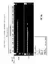 Fig. 09 - Development of novel detergents for use in PCR systems