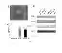 Fig. 02 - Characterizing melanoma