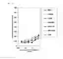 Fig. 06 - MUTAGENICITY TEST METHOD USING MAMMALIAN CELLS