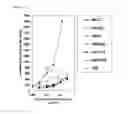 Fig. 07 - MUTAGENICITY TEST METHOD USING MAMMALIAN CELLS