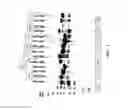 Fig. 02 - PROTEINS AND METHOD FOR DETECTION OF LYME DISEASE