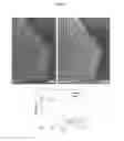Fig. 06 - Graphene-biomolecule bioelectronic devices