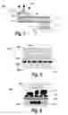 Fig. 06 - HUMAN EMULATED RESPONSE WITH MICROFLUIDIC ENHANCED SYSTEMS