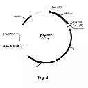 Fig. 03 - Cellulolytic enzyme compositions and uses thereof