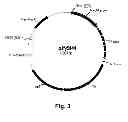 Fig. 04 - Cellulolytic enzyme compositions and uses thereof