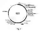 Fig. 08 - Cellulolytic enzyme compositions and uses thereof